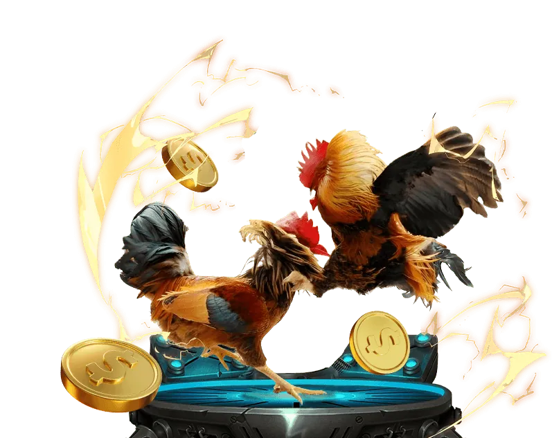 Trò chơi Dragon Tiger trực tiếp